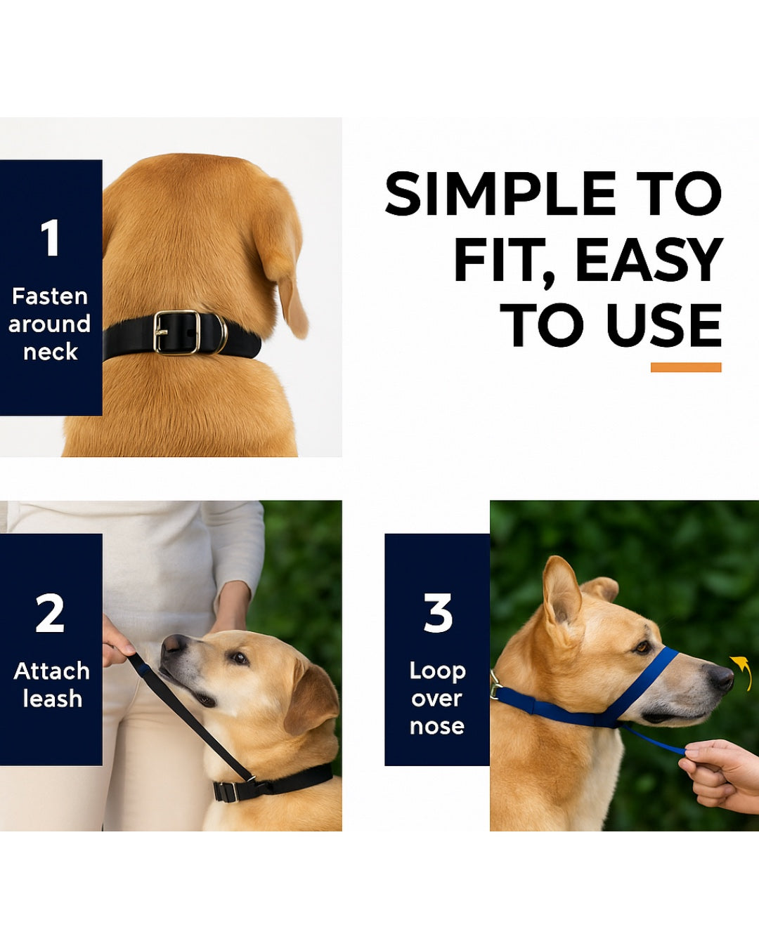 Step-by-step fitting guide showing how to use Canny Collar