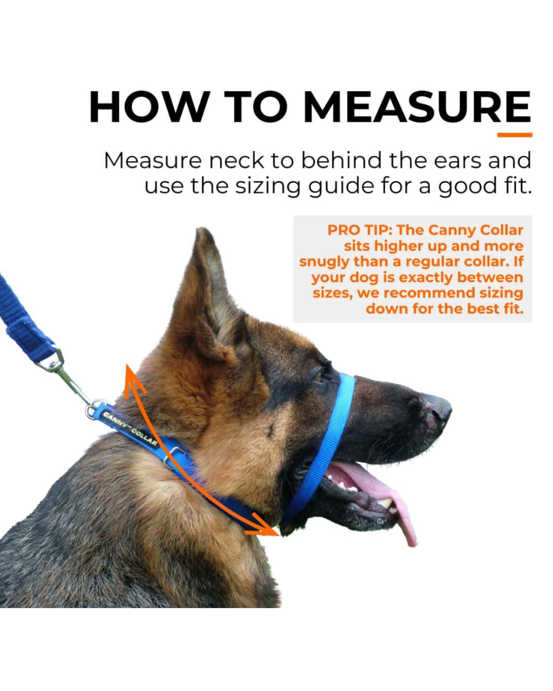 Sizing chart for neck-to-ear fit with Canny Collar on German Shepherd