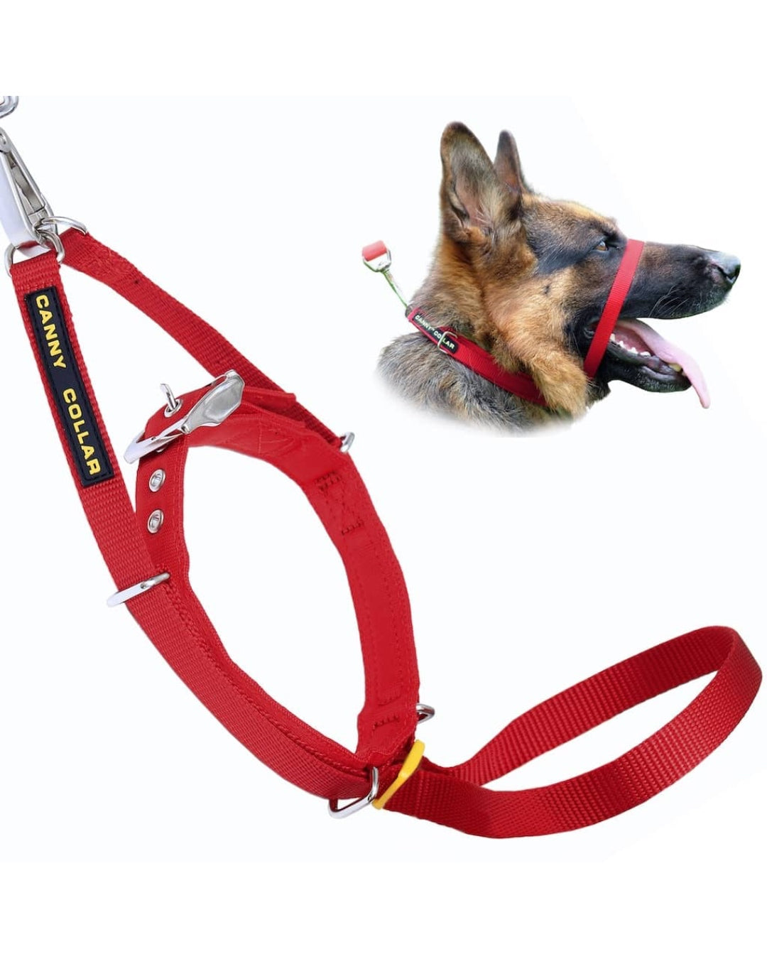 Red Canny Collar worn by German Shepherd, side view