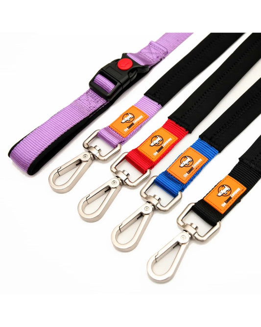 Four Canny Leashes in black, red, blue, and purple with secure clips.